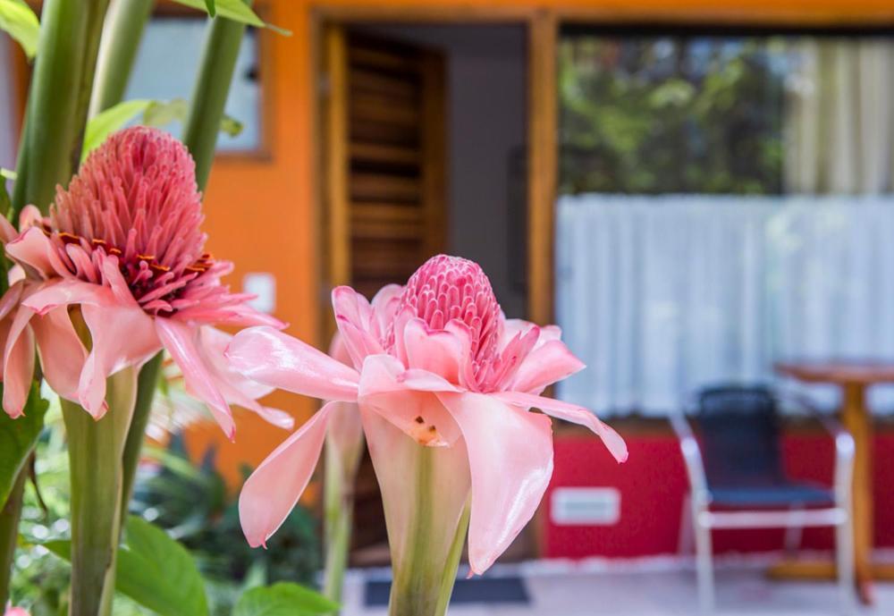 Pousada Armacao De Camburi Ngoại thất bức ảnh
